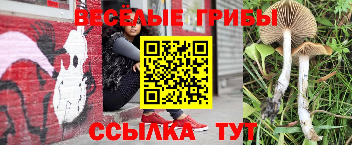 Псилоцибиновые грибы Cubensis  закладка  Туапсе  Вход с VPN 